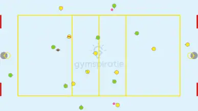 Zwerkbal in de gymles