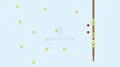 Gym-Memory