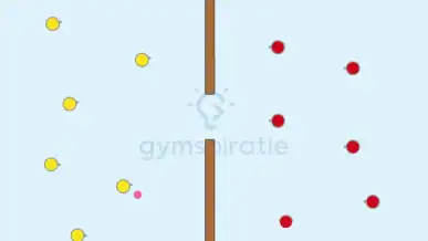 Stuitbal (Prelbal)