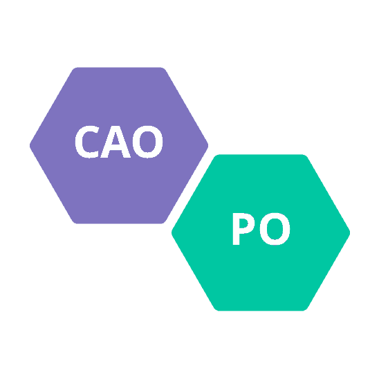 Deskundigheidsbevordering CAO PO