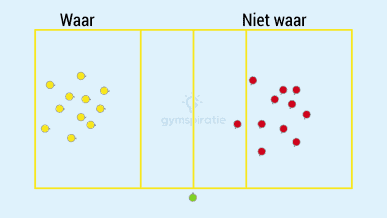 Waar of niet waar?