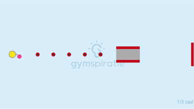 Olympische Winterspelen – Biathlon