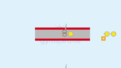 Ringzwaaien