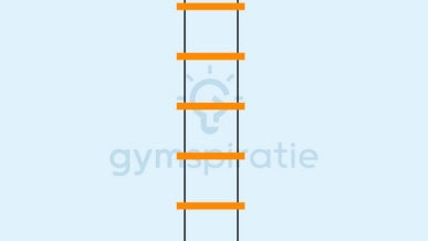 Speedladder