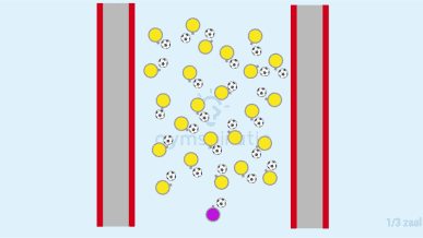 WK voetbal intro